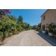 Properties for Sale_PRESTIGIOUS RENOVATED FARMHOUSE FOR SALE IN MASSIGNANO restored farmhouse in the Marche in Italy in Le Marche_4